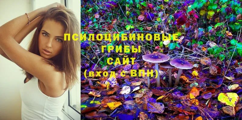 Галлюциногенные грибы MAGIC MUSHROOMS  хочу наркоту  Асино 